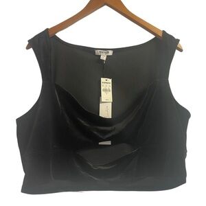 Express NWT crop top. Black velour with a cute cut out. Dressy or party attire.